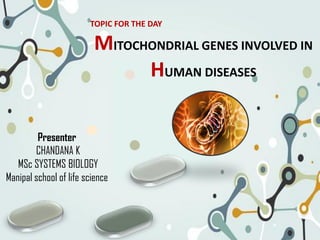Presenter
CHANDANA K
MSc SYSTEMS BIOLOGY
Manipal school of life science
TOPIC FOR THE DAY
MITOCHONDRIAL GENES INVOLVED IN
HUMAN DISEASES
 