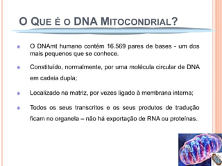 O QUE É O DNA MITOCONDRIAL?

 O DNAmt humano contém 16.569 pares de bases - um dos
 mais pequenos que se conhece.

 Constituído, normalmente, por uma molécula circular de DNA
 em cadeia dupla;

 Localizado na matriz, por vezes ligado à membrana interna;

 Todos os seus transcritos e os seus produtos de tradução
 ficam no organela – não há exportação de RNA ou proteínas.
 