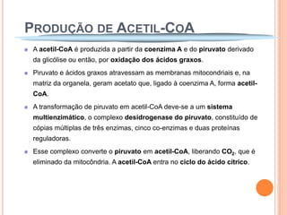 PRODUÇÃO DE ACETIL-COA
 A acetil-CoA é produzida a partir da coenzima A e do piruvato derivado
 da glicólise ou então, por oxidação dos ácidos graxos.
 Piruvato e ácidos graxos atravessam as membranas mitocondriais e, na
 matriz da organela, geram acetato que, ligado à coenzima A, forma acetil-
 CoA.
 A transformação de piruvato em acetil-CoA deve-se a um sistema
 multienzimático, o complexo desidrogenase do piruvato, constituído de
 cópias múltiplas de três enzimas, cinco co-enzimas e duas proteínas
 reguladoras.
 Esse complexo converte o piruvato em acetil-CoA, liberando CO2, que é
 eliminado da mitocôndria. A acetil-CoA entra no ciclo do ácido cítrico.
 