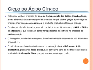 CICLO DO ÁCIDO CÍTRICO
Este ciclo, também chamado de ciclo de Krebs ou ciclo dos ácidos tricarboxílicos,
é uma seqüência cíclica de reações enzimáticas na qual ocorre, graças à presença de
enzimas chamadas desidrogenases, a produção gradual de elétrons e prótons.

Os elétrons não são liberados, mas são captados por moléculas como o NAD, o FAD e
os citocromos, que funcionam como transportadores de elétrons, no processo de
oxidorreduação.

O hidrogênio, resultante das reações, é liberado na matriz mitocondrial, sob a forma de
prótons (H+).

O ciclo do ácido cítrico tem início com a condensação da acetil-CoA com ácido
oxalacético, produzindo ácido cítrico. Este sofre uma série de modificações e acaba
produzindo ácido oxalacético, que, por sua vez, recomeça o ciclo.
 