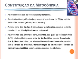 CONSTITUIÇÃO DA MITOCÔNDRIA

 As mitocôndrias são de constituição lipoprotéica.

 As mitocôndrias contêm também pequena quantidade de DNA e as três
 variedades de RNA (RNAm, RNAt e RNAr).

 A maior parte dos lipídios é formada por fosfolipídios, sendo o restante
 constituído por triacilglicerídeos e colesterol.

 As proteínas são, em maior parte, enzimas, das quais se conhecem mais
 de 70; isto inclui todas as do ciclo do ácido cítrico e as da -oxidação
 dos lipídios. Além disso, as mitocôndrias contêm enzimas relacionadas
 com a síntese de proteínas, transaminação de aminoácidos, síntese de
 hormônios esteróides e com outros processos metabólicos.
 