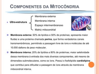 COMPONENTES DA MITOCÔNDRIA
                        Membrana externa
                        Membrana interna
Ultra-estrutura
                        Espaço intermembranoso
                        Matriz mitocondrial

Membrana externa: 50% de lipídios e 50% de proteínas; apresenta maior
fluidez e uma proteína chamada porina, que forma verdadeiros canais
transmembrânicos, permitindo a passagam livre de íons e moléculas de até
10.000 daltons de peso molecular.

Membrana interna: 20% de lipídios e 80% de proteínas; maior seletividade
dessa membrana à entrada dos mais diversos componentes, até mesmo de
dimensões submoleculares, como os íons. Possui o fosfolipídio cardiolipina
que contribui para dificultar a passagem de íons através da membrana
mitocondrial interna.
 