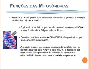 FUNÇÕES DAS MITOCÔNDRIAS

Realiza a maior parte das oxidações celulares e produz a energia
celular das células animais:


      - O piruvato e os ácidos graxos são convertidos em acetil-CoA,
        o qual é oxidado a CO2 no ciclo de Krebs;


      - Grandes quantidades de NADH e FADH2 são produzidas por
        estas reações de oxidação;


      - A energia disponível, pela combinação do oxigênio com os
        elétrons levados pelo NADH e pelo FADH2, é regulada por
        uma cadeia transportadora de elétrons na membrana
        mitocondrial interna, denominada cadeia respiratória.
 