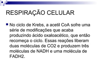 RESPIRAÇÃO CELULAR


No ciclo de Krebs, a acetil CoA sofre uma
série de modificações que acaba
produzindo ácido oxaloacético, que então
recomeça o ciclo. Essas reações liberam
duas moléculas de CO2 e produzem três
moléculas de NADH e uma molécula de
FADH2.

 