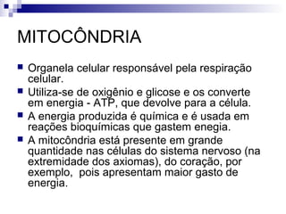 MITOCÔNDRIA





Organela celular responsável pela respiração
celular.
Utiliza-se de oxigênio e glicose e os converte
em energia - ATP, que devolve para a célula.
A energia produzida é química e é usada em
reações bioquímicas que gastem enegia.
A mitocôndria está presente em grande
quantidade nas células do sistema nervoso (na
extremidade dos axiomas), do coração, por
exemplo, pois apresentam maior gasto de
energia.

 