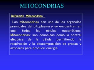 Definición Mitocondrias :
Las mitocondrias son uno de los organelos
principales del citoplasma y se encuentran en
casi todas las células eucarióticas.
Mitocondrias: son conocidas como la central
eléctrica de la célula, permitiendo la
respiración y la descomposición de grasas y
azúcares para producir energía.
MITOCONDRIAS
 