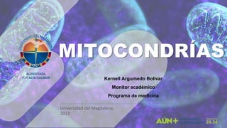 MITOCONDRÍAS
Universidad del Magdalena.
2023
Kernell Argumedo Bolivar
Monitor académico
Programa de medicina
 