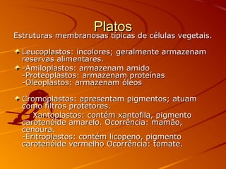 PlatosPlatos
Estruturas membranosas típicas de células vegetais.Estruturas membranosas típicas de células vegetais.
Leucoplastos: incolores; geralmente armazenamLeucoplastos: incolores; geralmente armazenam
reservas alimentares.reservas alimentares.
-Amiloplastos: armazenam amido-Amiloplastos: armazenam amido
-Proteoplastos: armazenam proteínas-Proteoplastos: armazenam proteínas
-Oleoplastos: armazenam óleos-Oleoplastos: armazenam óleos
Cromoplastos: apresentam pigmentos; atuamCromoplastos: apresentam pigmentos; atuam
como filtros protetores.como filtros protetores.
- Xantoplastos: contém xantofila, pigmento- Xantoplastos: contém xantofila, pigmento
carotenóide amarelo. Ocorrência: mamão,carotenóide amarelo. Ocorrência: mamão,
cenoura.cenoura.
-Eritroplastos: contém licopeno, pigmento-Eritroplastos: contém licopeno, pigmento
carotenóide vermelho Ocorrência: tomate.carotenóide vermelho Ocorrência: tomate.
 
