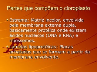 Partes que compõem o cloroplastoPartes que compõem o cloroplasto
Estroma: Matriz incolor, envolvidaEstroma: Matriz incolor, envolvida
pela membrana externa dupla,pela membrana externa dupla,
basicamente protéica onde existembasicamente protéica onde existem
ácidos nucléicos (DNA e RNA) eácidos nucléicos (DNA e RNA) e
ribossomos.ribossomos.
Lamelas lipoprotéicas: PlacasLamelas lipoprotéicas: Placas
achatadas que se formam a partir daachatadas que se formam a partir da
membrana envolvente.membrana envolvente.
 