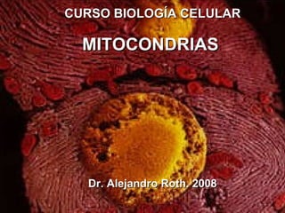 CURSO BIOLOGÍA CELULAR MITOCONDRIAS   Dr. Alejandro Roth. 2008 