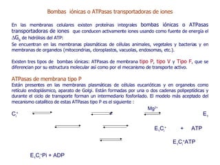 Bombas  iónicas o ATPasas transportadoras de iones En las membranas celulares existen proteínas integrales  bombas iónicas o ATPasas transportadoras de iones  que conducen activamente iones usando como fuente de energía el   G q   de hidrólisis del ATP : S e encuentran en las membranas plasmáticas de células animales, vegetales y bacterias y en membranas de organelos (mitocondrias, cloroplastos, vacuolas, endosomas, etc.). Existen tres tipos de  bombas iónicas: ATPasas de membrana  tipo P ,   tipo V   y   Tipo F , que se diferencian por su estructura molecular así como por el mecanismo de transporte activo. ATPasas de membrana tipo P Están presentes en las membranas plasmáticas de células eucarióticas y en organelos como retículo endoplásmico , aparato de Golgi . Están formadas por una o dos cadenas polipeptídicas y durante el ciclo de transporte forman un intermediario fosforilado.   El modelo más aceptado del mecanismo catalítico de estas ATPasas tipo P es el siguiente :   C i +  + E 1     E 1 C i +  + ATP   E 1 C i + ATP   E 1 C i + Pi + ADP   E 1 C i + Pi   E 2 C i + Pi   E 2  +  C e +   + Pi  E 2  E 1     Mg 2+ 