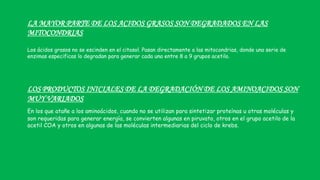 LA MAYOR PARTE DE LOS ACIDOS GRASOS SON DEGRADADOS EN LAS
MITOCONDRIAS
Los ácidos grasos no se escinden en el citosol. Pasan directamente a las mitocondrias, donde una serie de
enzimas especificas lo degradan para generar cada una entre 8 a 9 grupos acetilo.
LOS PRODUCTOS INICIALES DE LA DEGRADACIÓN DE LOS AMINOACIDOS SON
MUY VARIADOS
En los que atañe a los aminoácidos, cuando no se utilizan para sintetizar proteínas u otras moléculas y
son requeridas para generar energía, se convierten algunas en piruvato, otros en el grupo acetilo de la
acetil COA y otros en algunas de las moléculas intermediarias del ciclo de krebs.
 