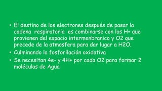• El destino de los electrones después de pasar la
cadena respiratoria es combinarse con los H+ que
provienen del espacio intermenbranico y O2 que
precede de la atmosfera para dar lugar a H2O.
• Culminando la fosforilación oxidativa
• Se necesitan 4e- y 4H+ por cada O2 para formar 2
moléculas de Agua
 
