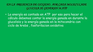 EN LA PRESENCIA DE OXIGENO , POR CADA MOLECULADE
GLUCOSA SE GENERAN 36 ATP
• La energía es contada en ATP por eso para hacer el
cálculo debemos contar la energía ganada en durante la
glucolisis y la energía ganada en la mitocondria con
ciclo de krebs , fosforilacion oxidativa
 