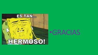 •GRACIAS
 