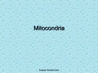MitocondriaMitocondria
Eugenia Grisolia CireraEugenia Grisolia Cirera
 