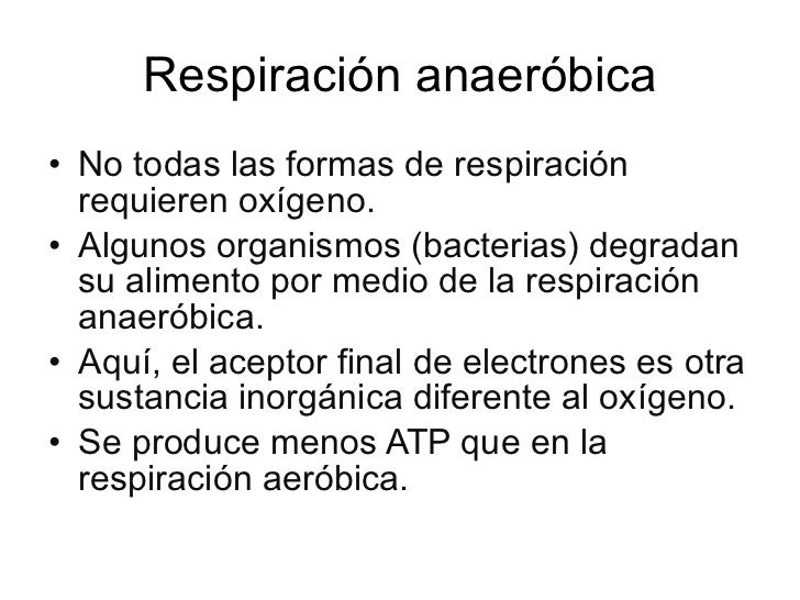 Mitocondria y respiración celular