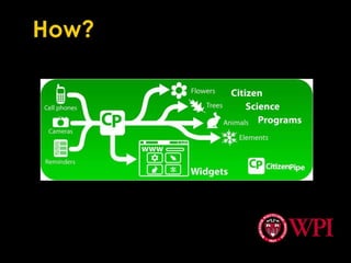 Park and PayCityZapps