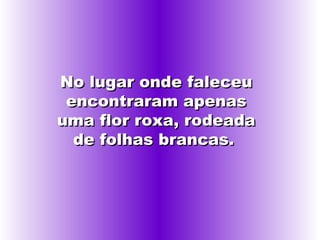 No lugar onde faleceu encontraram apenas uma flor roxa, rodeada de folhas brancas.  