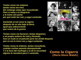Tantas veces me mataron,  tantas veces me morí, Sin embargo estoy aquí resucitando. Pero si estoy a la desgracia  y la mano con puñal por qué mató tan mal, y seguí cantando. Cantando al sol como la cigarra después de un año bajo la tierra, igual que sobreviviente que vuelve de la guerra. Tantas veces me borraron, tantas desparecí, a mi propio entierro fui sola y llorando; hice un nudo en el pañuelo pero me olvidé después que no era la única vez y seguí cantando.  Tantas veces te mataron, tantas resucitarás,  cuántas noches pasarás desesperando.  Y a la hora del naufragio y la de la oscuridad  alguien te rescatará para ir cantando.  Como la Cigarra (María Elena Walsh) 