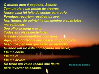 O mundo meu é pequeno, Senhor. Tem um rio e um pouco de árvores. Nossa casa foi feita de costas para o rio. Formigas recortam roseiras da avó. Nos fundos do quintal há um menino e suas latas  maravilhosas. Seu olho exagera o azul. Todas as coisas deste lugar  já estão comprometidas com aves. Aqui, se o horizonte enrubesce um pouco, os besouros pensam que estão no incêndio. Quando um rio está começando um peixe, Ele me coisa Ele me rã Ele me árvore. De tarde um velho tocará sua flauta  para inverter os ocasos. Manoel de Barros 