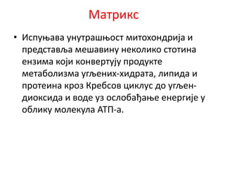 Матрикс
• Испуњава унутрашњост митохондрија и
представља мешавину неколико стотина
ензима који конвертују продукте
метаболизма угљених-хидрата, липида и
протеина кроз Кребсов циклус до угљен-
диоксида и воде уз ослобађање енергије у
облику молекула АТП-а.
 