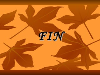 FIN 