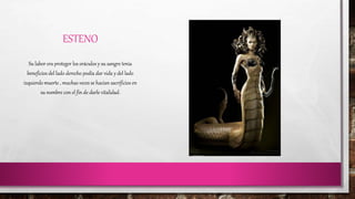 ESTENO 
Su labor era proteger los oráculos y su sangre tenia 
beneficios del lado derecho podía dar vida y del lado 
izquierdo muerte , muchas veces se hacían sacrificios en 
su nombre con el fin de darle vitalidad. 
 