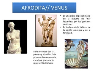 AFRODITA// VENUS
• Es una diosa especial: nació
de la espuma del mar
fecundada por los genitales
de Urano.
• Es la diosa d...