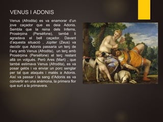 VENUS I ADONIS
Venus (Afrodita) es va enamorar d’un
jove caçador que es deia Adonis.
Sembla que la reina dels Inferns,
Prosèrpina (Persèfone), també li
agradava el bell caçador. Davant
d’aquesta situació , Júpiter (Zeus) va
decidir que Adonis passaria un terç de
l’any amb Venus (Afrodita), un terç amb
Prosèrpina (Persèfone) el terç restant
allà on volgués. Però Ares (Mart) , que
també estimava Venus (Afrodita), es va
posar gelós i va enviar un porc senglar
per tal que ataqués i matés a Adonis.
Així va passar i la sang d’Adonis es va
convertir en una anèmona, la primera flor
que surt a la primavera.
 