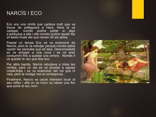 NARCÍS I ECO
Eco era una nimfa que parlava molt que va
treure de polleguera a Hera. Hera la va
castigar, només podria parlar si algú
s’adreçava a ella i ella només podria repetir les
síl·labes finals del que havien dit els altres.
Passat un temps Eco es va enamorar de
Narcís, però la va rebutjar perquè només sabia
repetir les paraules que ell deia. Desconsolada
es va amagar a una cova i es va anar
consumint fins a quedar una ombra. Només li
va quedar la veu que feia eco.
Per altra banda, Narcís rebutjava a totes les
nimfes, però un dia es va acostar a aigües
cristal·lines i es va enamorar del noi que hi
veia, però la imatge mai el corresponia.
Finalment, Narcís va caure intentant tocar el
seu reflex i allà on va morir va néixer una flor
que porta el seu nom.
 