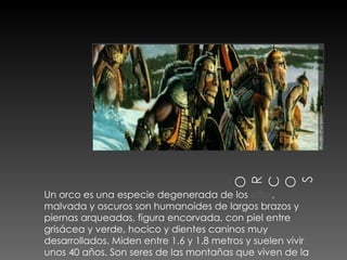 Un orco es una especie degenerada de los  elfos , malvada y oscuros son humanoides de largos brazos y piernas arqueadas, figura encorvada, con piel entre grisácea y verde, hocico y dientes caninos muy desarrollados. Miden entre 1.6 y 1.8 metros y suelen vivir unos 40 años. Son seres de las montañas que viven de la caza y de los saqueos 