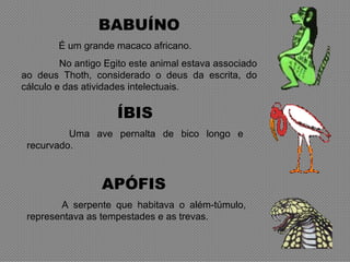 BABUÍNO
        É um grande macaco africano.
         No antigo Egito este animal estava associado
ao deus Thoth, considerado o deus da escrita, do
cálculo e das atividades intelectuais.

                     ÍBIS
          Uma ave pernalta de bico longo e
 recurvado.



                  APÓFIS
        A serpente que habitava o além-túmulo,
 representava as tempestades e as trevas.
 