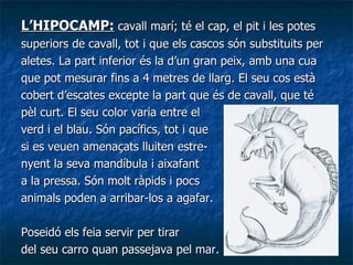 <ul><li>L’HIPOCAMP:  cavall marí; té el cap, el pit i les potes  </li></ul><ul><li>superiors de cavall, tot i que els casc...