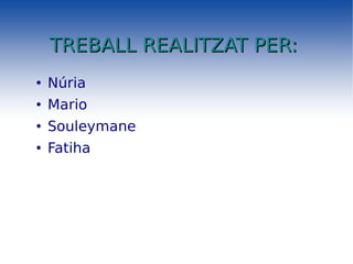 TREBALL REALITZAT PER:   Núria Mario Souleymane Fatiha 