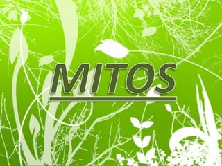 MORTALESActeónAgamenónAlcmeneAndrómedaAnquisesAquilesAscanioAtalantaAyaxBatoBelerofonteBriseisCalisdaltoCasandraCasiopeaCefeoLedaLicaónMedeaMenelaoMidasMinosOdiseoPandoraParisPeleoPerseoPigmaliónPríamoTeseoTindareoTitón