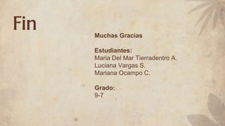 Fin Muchas Gracias
Estudiantes:
Maria Del Mar Tierradentro A.
Luciana Vargas S.
Mariana Ocampo C.
Grado:
9-7
 