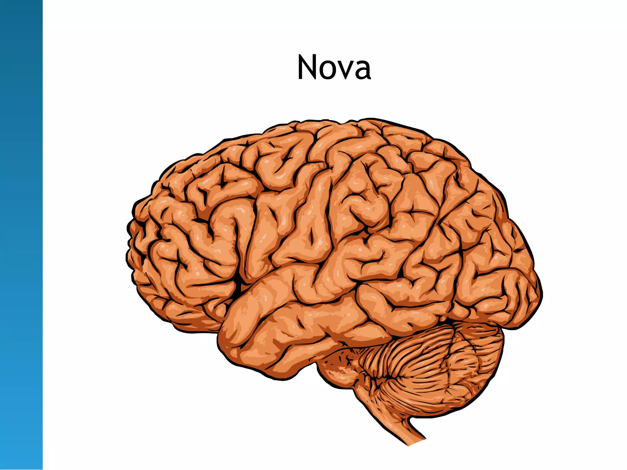 Nova
 