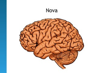 Nova
 