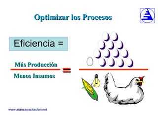 Optimizar los Procesos Eficiencia = Más Producción Menos Insumos = 