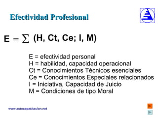 Efectividad Profesional 