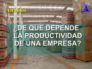 Análisis ¿DE QUE DEPENDE LA PRODUCTIVIDAD DE UNA EMPRESA? 