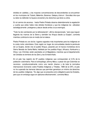dividida en cabildos, y las mayores concentraciones de descendientes se encuentran
en los municipios de Tubará, Malambo, Baranoa, Galapa y Usicurí. González dice que
su labor es defender la riqueza ancestral y los derechos que tiene su etnia.
En el camino de ascenso hasta Piedra Pintada observa detenidamente la vegetación
y cuenta que antes había más árboles frondosos y que los indígenas los utilizaban
estratégicamente protegerse y atacar desde arriba a sus enemigos.
“Todo ha ido cambiando por la deforestación”, afirma decepcionado, “pero aquí siguen
llegando los mamos de la Sierra y también los Wayuú desde La Guajira”, comenta
mientras continúa la ruta en medio de la maleza.
Piedra Pintada es uno de los lugares sagrados más importantes para los indígenas en
la costa norte colombiana. Esta región es hogar de comunidades desde la península
de La Guajira, donde vive el pueblo Wayuú, pasando por el macizo montañoso de la
Sierra Nevada de Santa Marta, habitada por los pueblos Kogui, Arhuaco, Kankuamo y
Wiwa. Los Chimilas están asentados en el Magdalena, mientras que el departamento
de Córdoba es territorio de los Zenú y los Emberá Katío.
En el país hay registro de 87 pueblos indígenas que corresponden al 3.3% de la
población colombiana. Para el antropólogo Johnny Meca, a pesar de que Colombia se
reconoce constitucionalmente como una nación diversa y de toda la normativa
internacional (Convenio sobre Pueblos Indígenas y Tribales, 1989 de la OIT), el país
no ha superado las barreras básicas que permitan garantizar un mínimo de derechos
de los pueblos indígenas. “Es algo que se presenta como obligatorio para los Estados,
pero que sin embargo sigue sin aplicarse efectivamente”, comenta Meca.
 