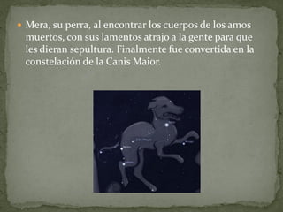  Mera, su perra, al encontrar los cuerpos de los amos

muertos, con sus lamentos atrajo a la gente para que
les dieran sepultura. Finalmente fue convertida en la
constelación de la Canis Maior.

 