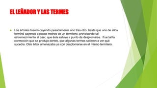 EL LEÑADOR Y LAS TERMES
 Los árboles fueron cayendo pesadamente uno tras otro, hasta que uno de ellos
terminó cayendo a pocos metros de un termitero, provocando tal
estremecimiento al caer, que éste estuvo a punto de desplomarse. Fue tal la
conmoción que se produjo dentro, que algunas termes salieron a ver qué
sucedía. Otro árbol amenazaba ya con desplomarse en el mismo termitero.
 
