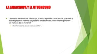 LA JARACHUPA Y EL UTUSHCURO
 Caminaba distraída una Jarachupa, cuando reparo en un utushcuro que triste y
abatido presa de hambre iba jadeante arrastrándose penosamente por entre
las malezas de un matorral.
 MamÝfero de las zonas andinas del Per·.
 