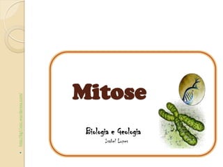 Mitose
http://bg11esc.wordpress.com/




                                 Biologia e Geologia
                                       Isabel Lopes
      
 