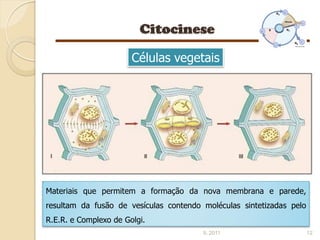 Células vegetais




Materiais que permitem a formação da nova membrana e parede,
resultam da fusão de vesículas contendo moléculas sintetizadas pelo
R.E.R. e Complexo de Golgi.
                                        IL 2011                       12
 