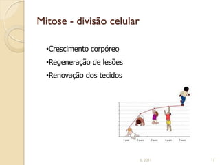 Mitose - divisão celular

  •Crescimento corpóreo
  •Regeneração de lesões
  •Renovação dos tecidos




                           IL 2011   17
 