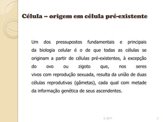 Um   dos     pressupostos   fundamentais     e     principais
da biologia celular é o de que todas as células se
originam a partir de células pré-existentes, à excepção
do     ovo      ou     zigoto    que,        nos       seres
vivos com reprodução sexuada, resulta da união de duas
células reprodutivas (gâmetas), cada qual com metade
da informação genética de seus ascendentes.




                                   IL 2011                      2
 